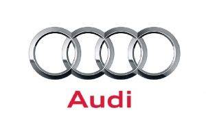 Комплект доводчиков Audi NEW на 4 двери ― Sound & Retrofit